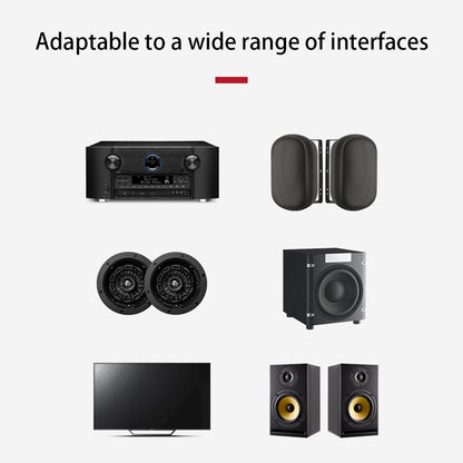 HiFiMuse R20Wireless Bluetooth Audio Receiver Playback Over Space Multi-Room Available