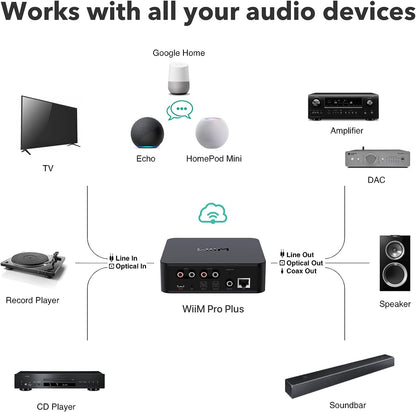 WiiM pro plus AirPlay2 Receiver, Chromecast Audio, WiFi Multiroom Streamer, Alexa, Siri,Google Assistant,Spotify, AmMusic